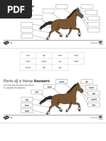 Labeled Diagram of Lizard Parts | PDF | Claw