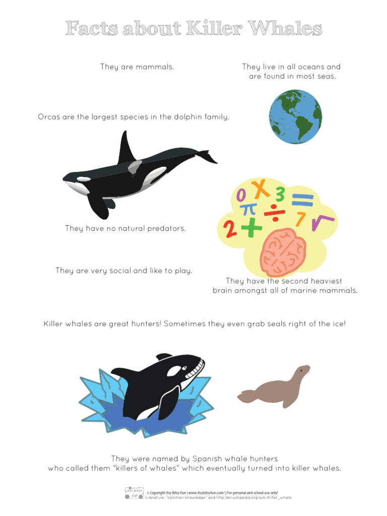Killer Whale Facts For Kids Ilovepdf Compressed | PDF | Young Adult