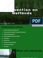 Convention On Wetland