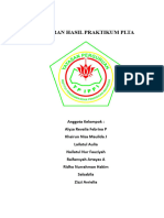 Laporan Hasil Praktikum Plta Kelompok 1 Final