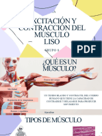 Presentación Exposición Excitación y Contracción Del Músculo Liso