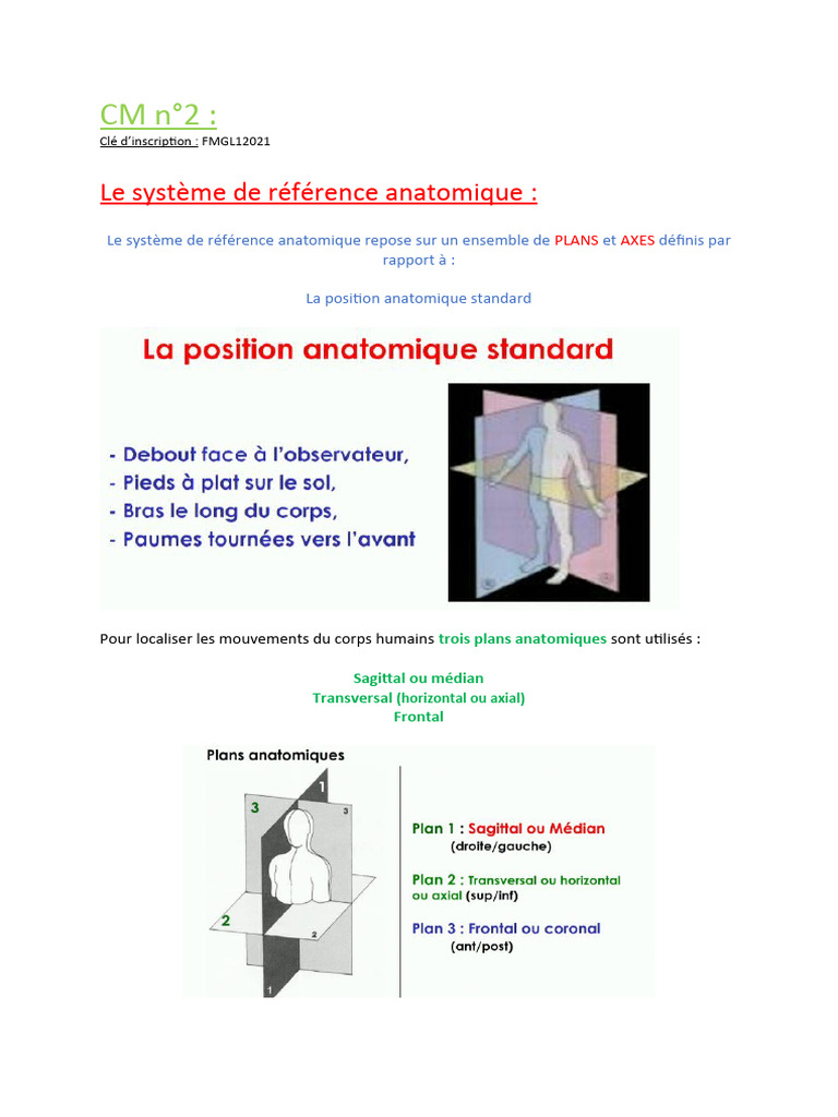 Système de référence anatomique | PDF