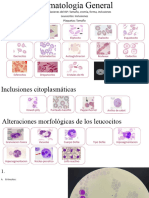 Hematología general imágenes