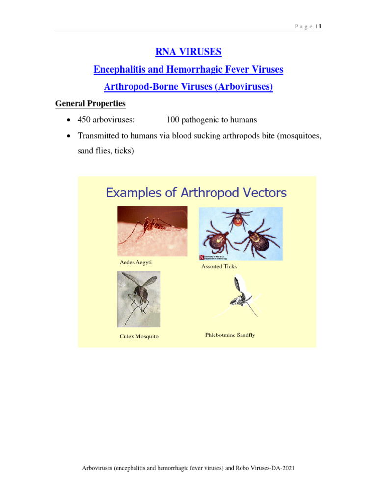 arbo-robo-viruses-kmc-pdf-causes-of-death-viral-diseases