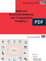 ECU SON1101 Week 02 Lecture 2