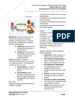 Module 9 Bioenergetics