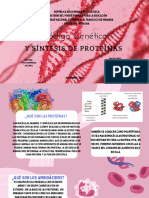 Código Genético y Síntesis de Proteinas