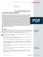 Identification of Associated Proteins by Coimmunoprecipitation 2005