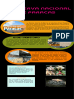 La Reserva Nacional de Paracas