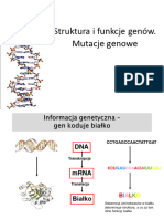 Struktura I Funkcje Genów