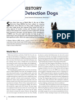 A Brief History of Mine Detection Dogs