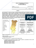 Teste Formativo PDF