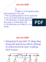 Quang H P 2022