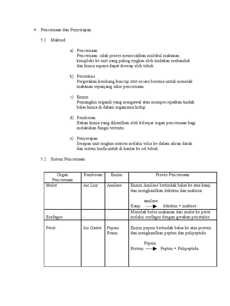 Pencernaan Penyerapan Myert Pdf