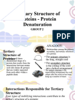 Tertiary Structure of Protein