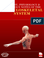 Musculoskeletal System