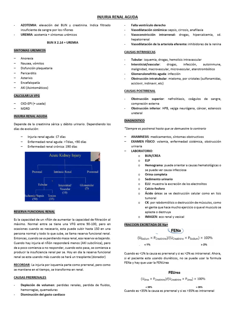 Causas y Diagnóstico de Injuria Renal Aguda | PDF | Riñón | Sistema ...