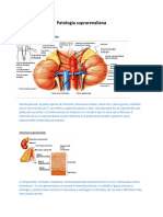 8.1. Patologia Suprarenaliana