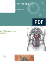 Abdomen Spotters Revision