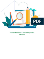 Photosynthesis Cellular Respiration Discover