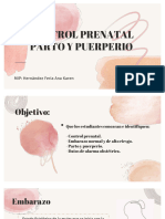 20 Embarazo Control Prenatal Puerperio