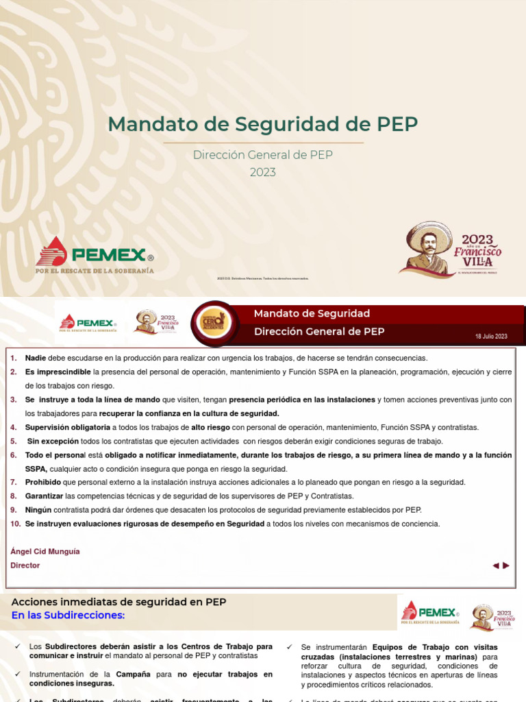Mandato de Seguridad Del Director | PDF