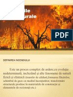 189174694 Incendiile Naturale