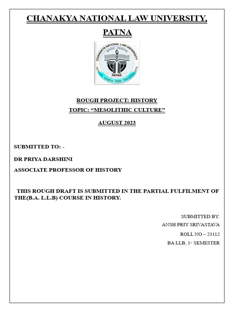 Mesolithic Culture in India | PDF | Stone Age | Paleolithic