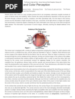 The Physics of Light and Color - Human Vision and Color Perception - Olympus LS