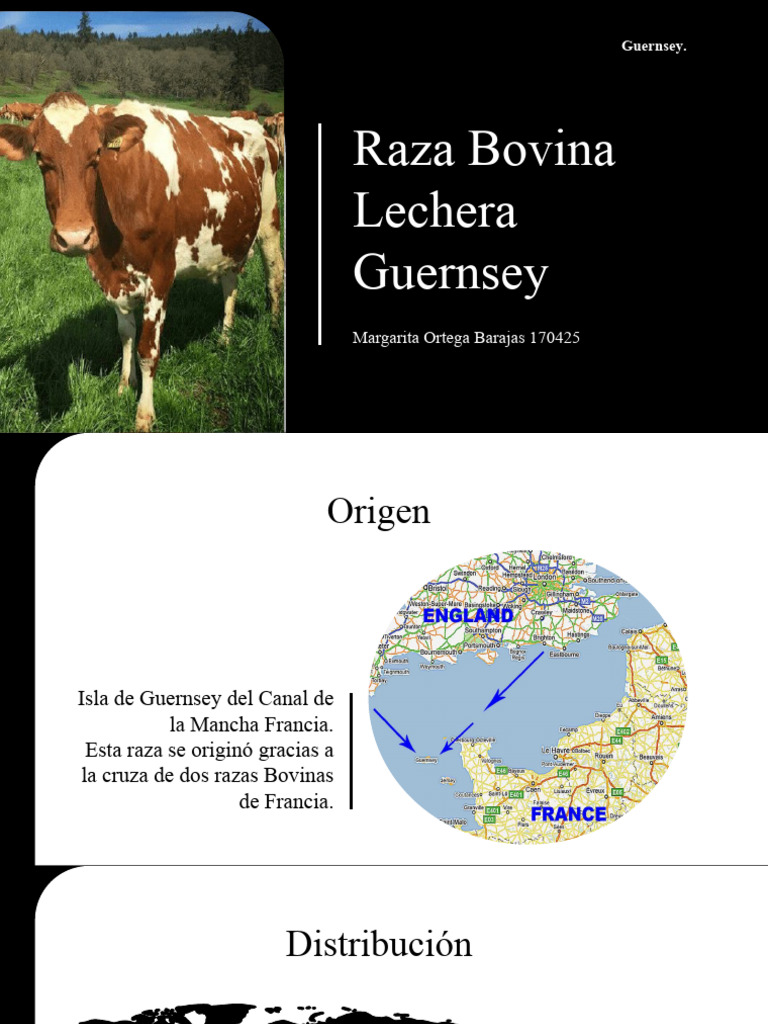 Weekly Planning Applications Guernsey Pdf