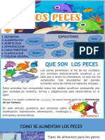 Exposicion Los Peces