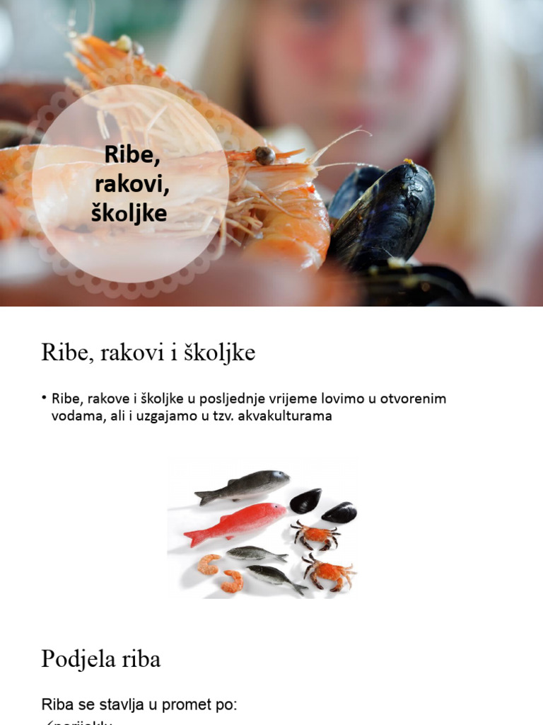 Ribe, Rakovi, Školjke | PDF