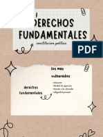 Derechos Fundamentales