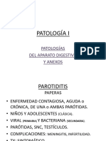 Patología Digestiva 1