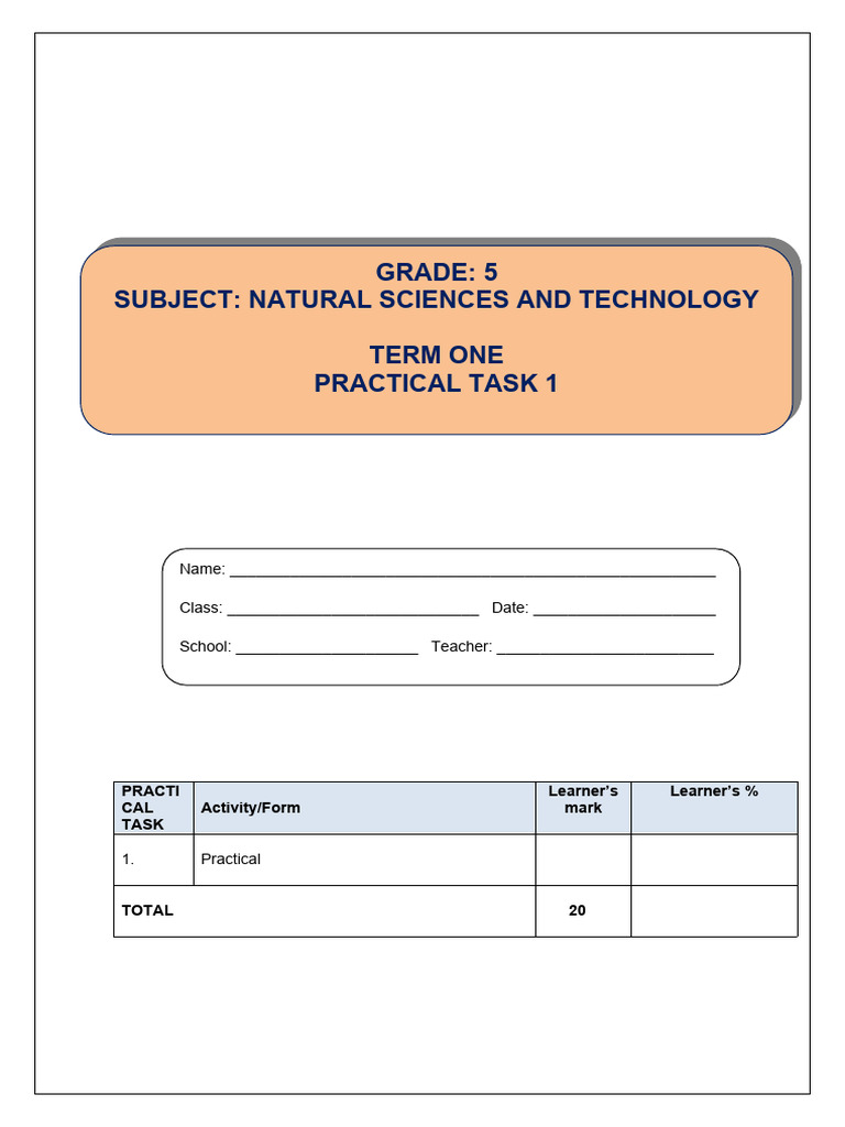 Grade 5 NST Term 1 Practical Task | PDF | Learning | Skeleton