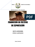 Guía Producción de Cultivos de Exportación