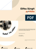 ElifsuSürgit Portfolio20223