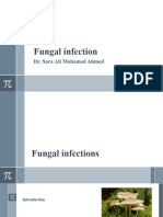 Fungal Infection, Final