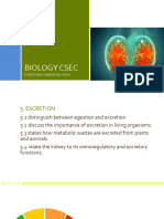 BIOLOGY CSEC Lecture 1