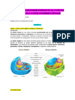 Taller n.2 C.N 10mo A - B