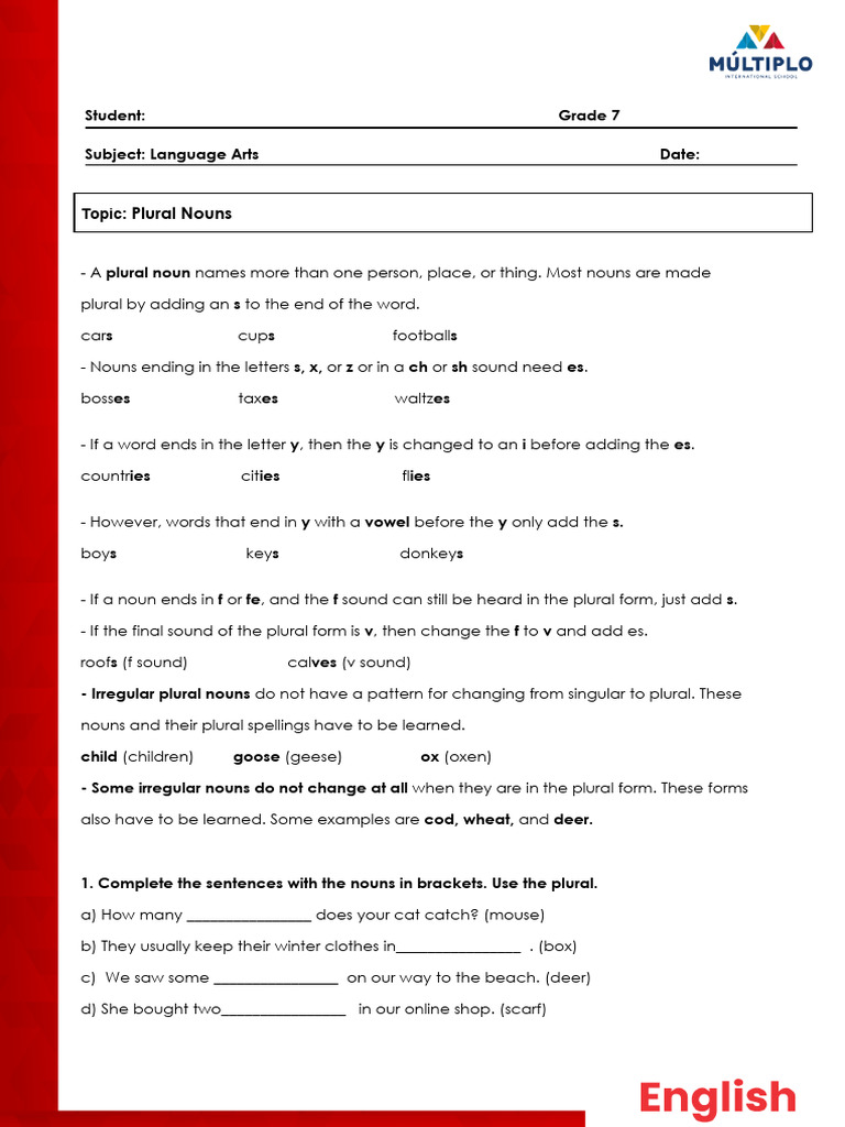 Grade 7 Plural Nouns Guide | PDF | Plural | Noun
