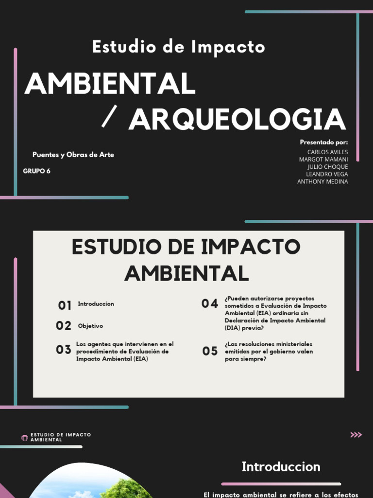 Estudio de Impacto Ambiental y Arqueológico | PDF | Evaluación de ...