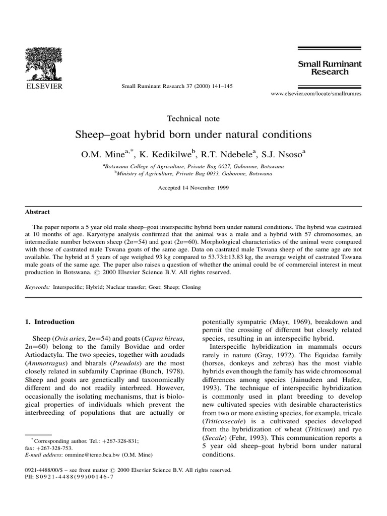 Sheep Goat Hybrid Born Under Natural Conditions Pdf Sheep Karyotype