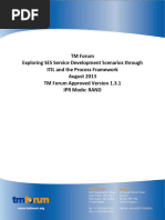 TR206 Exploring SES Service Development Scenarios Through ITIL and The Process Framework v1.3