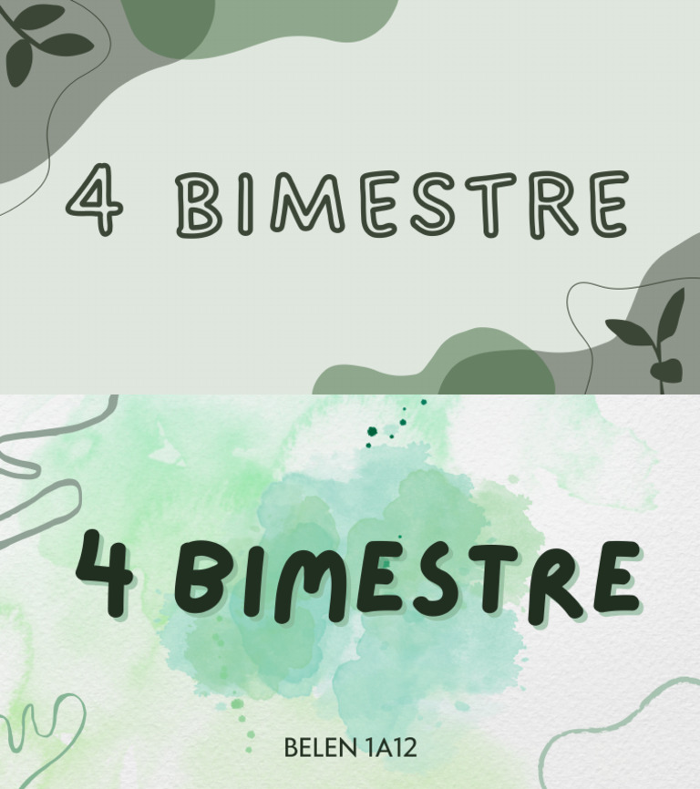 4 Bimestre Pdf