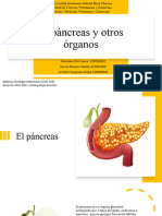 Fisiología 2 El Pancreas