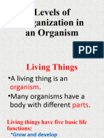 q2 Levels of Organization Powerpoint
