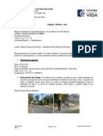 Informe Especial - PT Castillo