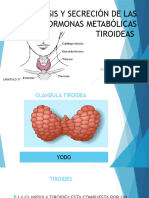 Síntesis y Secreción de Las Hormonas Metabólicas Tiroideas