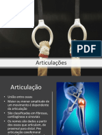 Articulações Sinuviais